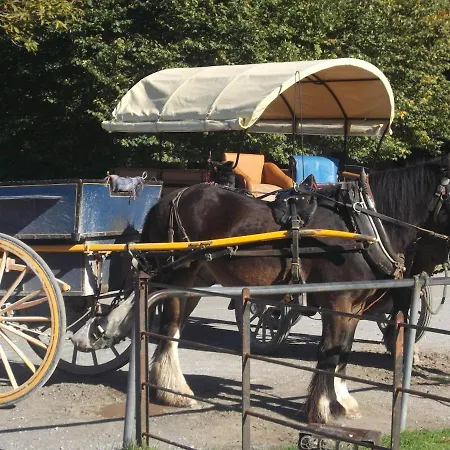 Casa vacanze No 31 Village *