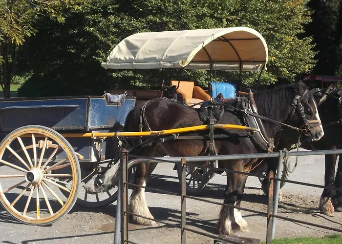 Holiday home No 31 Village *